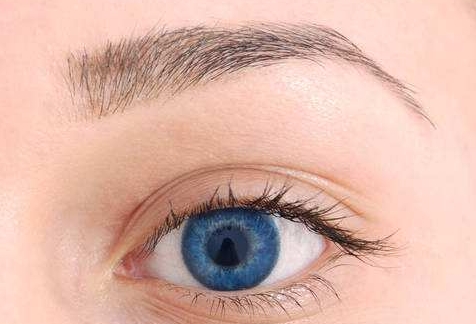 2023東莞眼袋祛除術(shù)權(quán)威專(zhuān)家榜單前十(尹悅、任陽(yáng)海、蘇萬(wàn)龍網(wǎng)友狂薦)