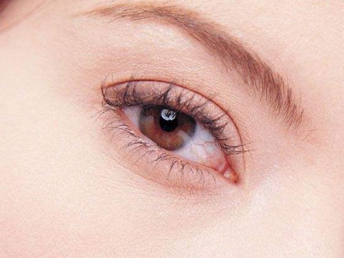 穆寶安與黃寅守，京城熱門加減美大咖實(shí)力對(duì)決！最新實(shí)測(cè)推薦~