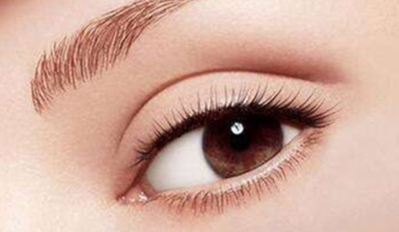 陳輝醫(yī)生簡(jiǎn)介及隆鼻案例分享！看他的實(shí)力如何