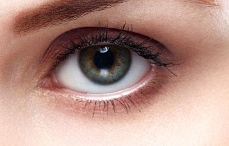 上海肋骨鼻專家綜合評測：評估戴傳昌、李圣利、陳付國、王會勇等專家能力