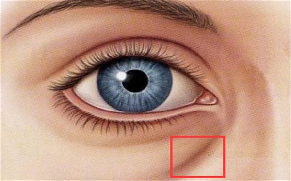 上海哪家醫(yī)院做雙眼皮好？楊嫻嫻的雙眼皮手術(shù)是否值得推薦？點(diǎn)擊查看價(jià)格表！