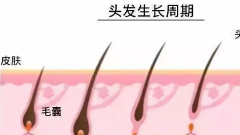 臨沂瑞麗美容醫(yī)院專業(yè)嗎？醫(yī)院的醫(yī)生水平如何？地址在哪？口碑怎樣？