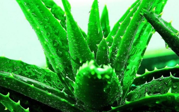 北京圣佳嘉新醫(yī)療美容怎么樣？北京圣佳嘉新醫(yī)療美容簡(jiǎn)介|醫(yī)生團(tuán)隊(duì)|口碑評(píng)價(jià)！