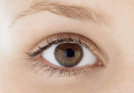 2023上海韓式無痕隆鼻權(quán)威醫(yī)生排行榜前十(馬麗、佀同帥、蔡敏被身邊小姐妹一度推薦)