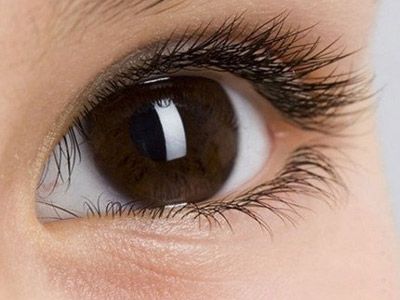 2023成都射頻溶脂減肥瘦肚子正規(guī)專家排行榜前十名(廖小川、凌霄志、王濤讓你美到極致！)