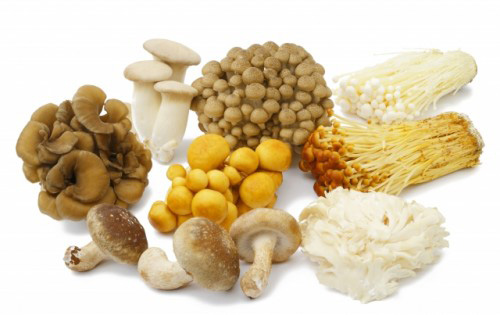 吃哪些食物有助于排除脂肪