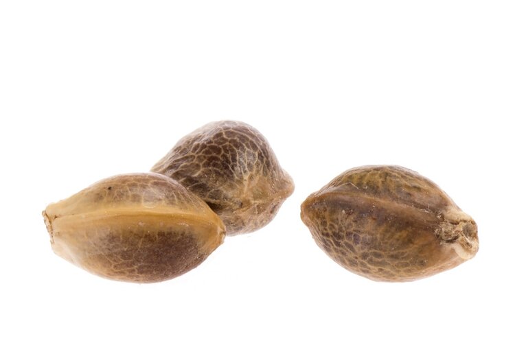 如何有效清除肚子上的脂肪