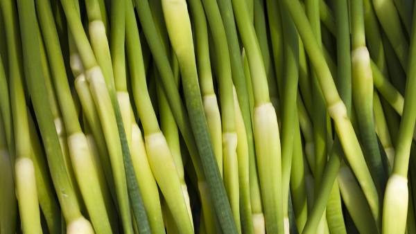 跑步瘦身的最佳速度是多少？