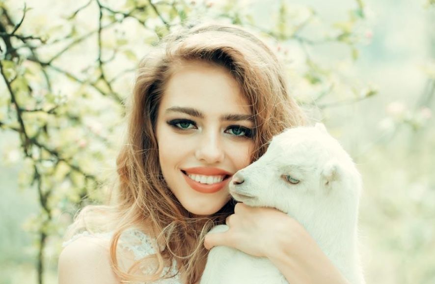 超體隆鼻：安全性分析與最新價格介紹