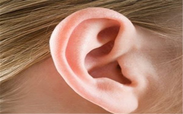 山大一院整形外科：價格表明細與案例分享