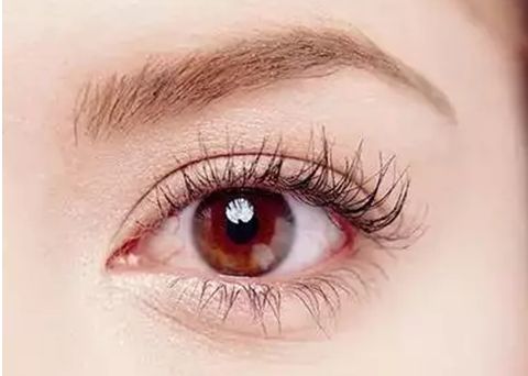 廈門哪家眼部整形醫(yī)院比較靠譜？一線醫(yī)院、技術、行業(yè)翹楚等值得關注