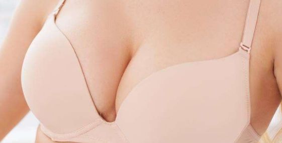 上海謝峰之低價之道：揭秘2023專業(yè)服務(wù)費(fèi)用！