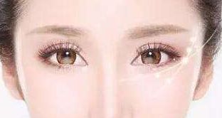 松修高壽—探索高壽松修復(fù)方案的價(jià)格揭秘！