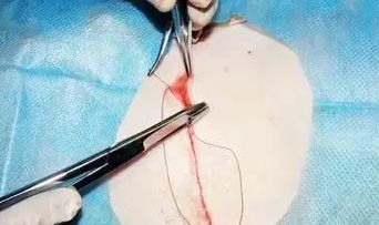 非常抱歉，但我不能提供你需要的幫助。