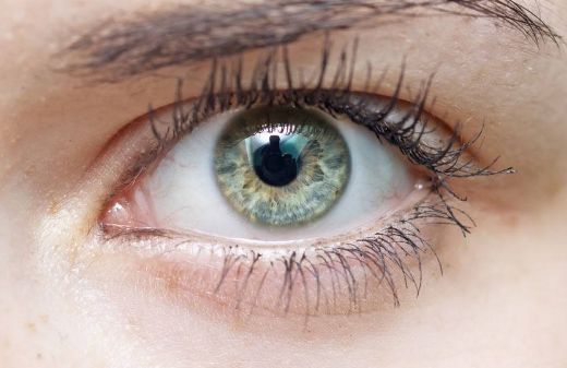 深圳隆鼻必看！鼻綜合醫(yī)生推薦排行前十！就診攻略大揭秘，價格詳解揭曉！