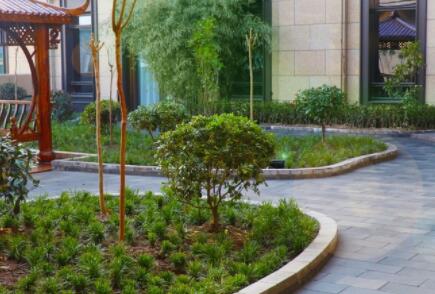 西安華藝醫(yī)療美容機(jī)構(gòu)