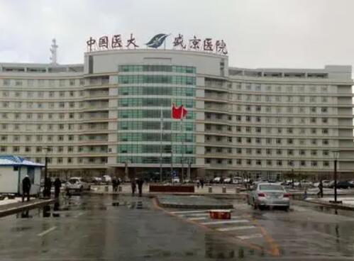 沈陽盛京醫(yī)院整形美容科