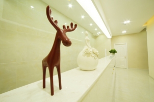 沈陽和平燦美整形美容醫(yī)院