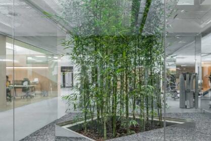 廣州未瀾康薈醫(yī)療美容門診部