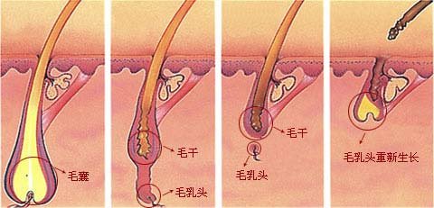 杭州最受歡迎的整形醫(yī)院盤點：維多利亞第一，華研、美立方在榜！