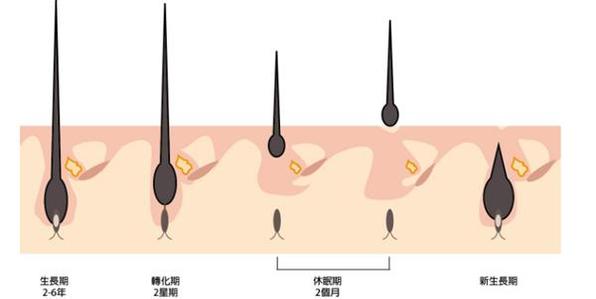 天津BSK生態(tài)美鼻醫(yī)院2023年綜合實(shí)力口碑排行榜發(fā)布
