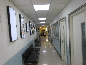 上海明珠醫(yī)院自體軟骨隆鼻有何優(yōu)勢？可以維持多久？