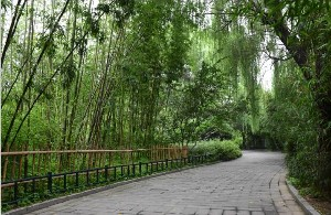 北京海醫(yī)悅美整形面部填充適應(yīng)癥有哪些？多久消腫？