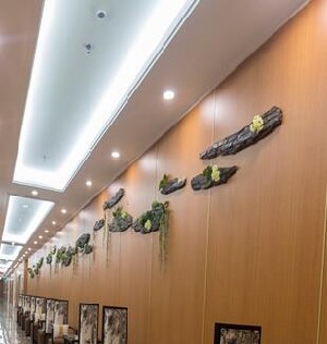 東北國際醫(yī)院副乳切除有何優(yōu)點(diǎn)？術(shù)后注意事項(xiàng)？