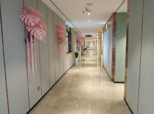 保定藍山醫(yī)療美容醫(yī)院做自體脂肪豐胸怎么樣？