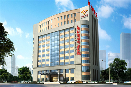 沈陽杏林整形美容醫(yī)院 沈陽杏林整形美容醫(yī)院