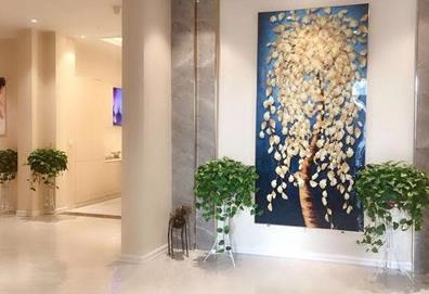 邢臺(tái)美多美醫(yī)療美容診所_醫(yī)院一角