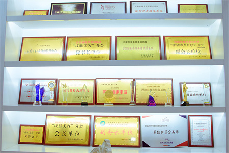 云南華美美萊美容醫(yī)院_醫(yī)院榮譽(yù)