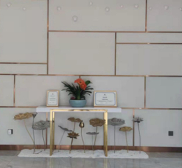 寧波鄞州區(qū)整形醫(yī)院排名前十都是哪些？前十醫(yī)院相關(guān)介紹來襲！