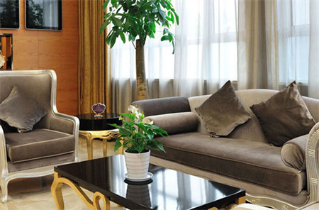 煙臺(tái)百黛劉芳醫(yī)療美容門診部