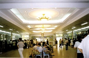 北京大學(xué)第一醫(yī)院整形燒傷外科_北京大學(xué)第一醫(yī)院整形燒傷外科