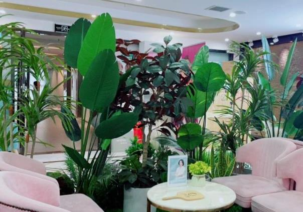 西安亞美醫(yī)療美容醫(yī)院_醫(yī)院環(huán)境