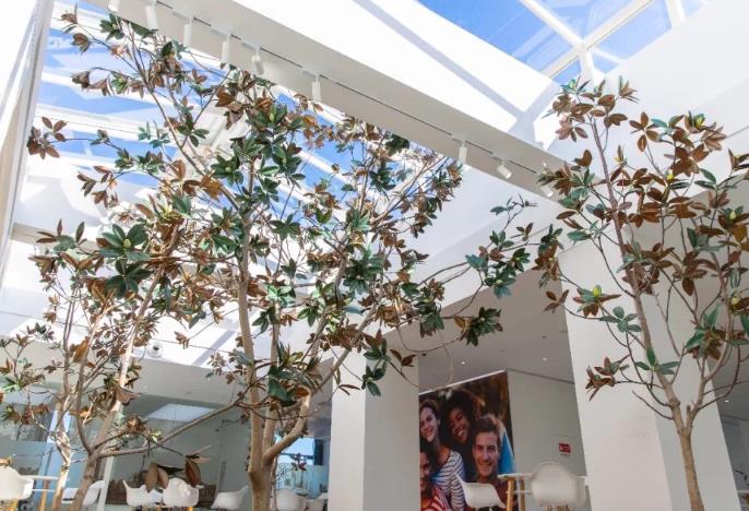 天津海德堡聯(lián)合口腔醫(yī)院 天津海德堡聯(lián)合口腔醫(yī)院