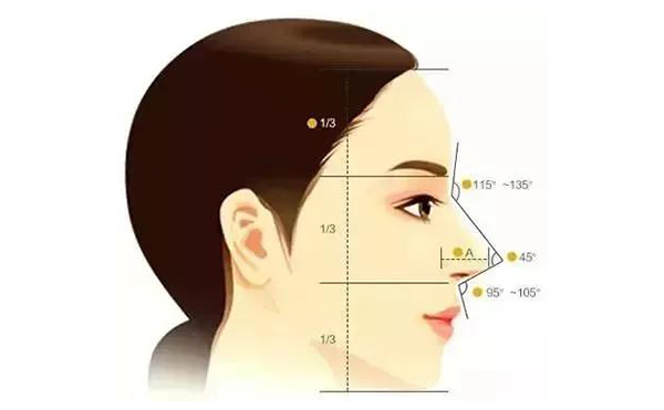 漂亮鼻子的標(biāo)準(zhǔn)