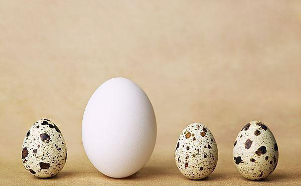 雞蛋祛斑有用嗎？雞蛋祛斑的正確方法？