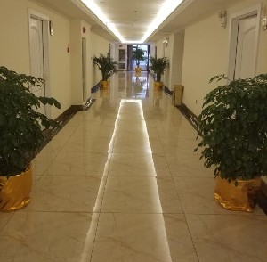 昭通愛(ài)麗諾醫(yī)療美容門(mén)診部